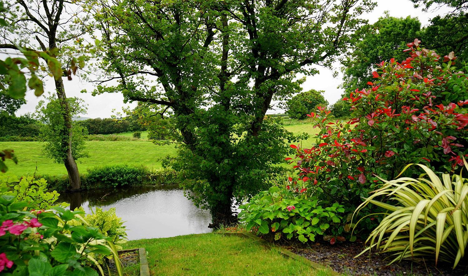 Keep Your Garden Healthy: Prevent Common Plant Diseases