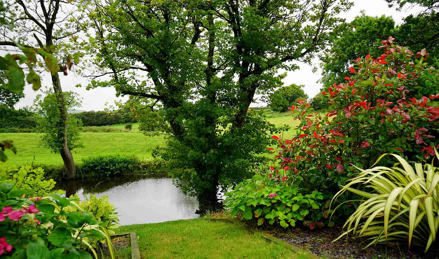 Keep Your Garden Healthy: Prevent Common Plant Diseases