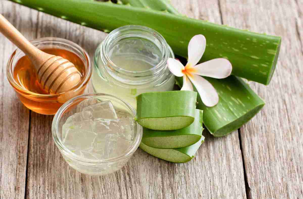 Why Every Household Needs an Aloe Vera —  Your Skincare Companion from Gel to Table
