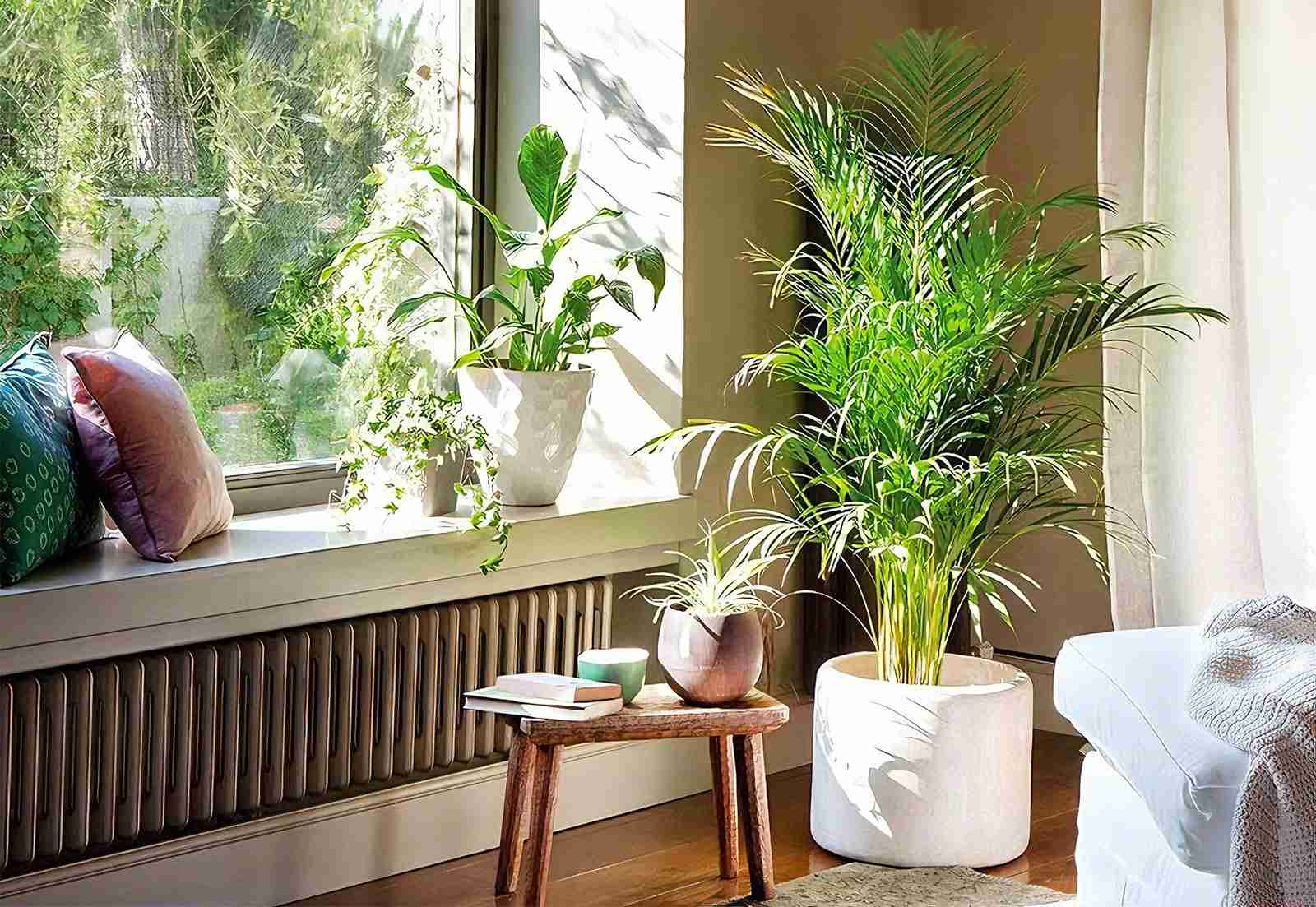 Heater Drying Out Your Soil — Should You Water More?